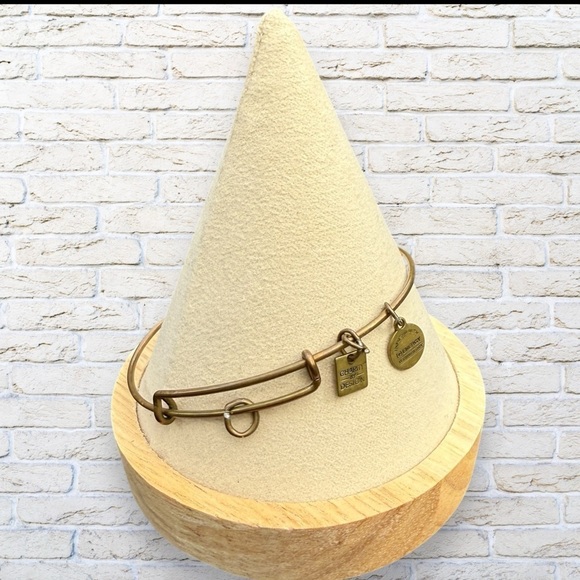 Alex and Ani Jewelry - Alex & Ani Adjustable Gold Bracelet - NO CHARM